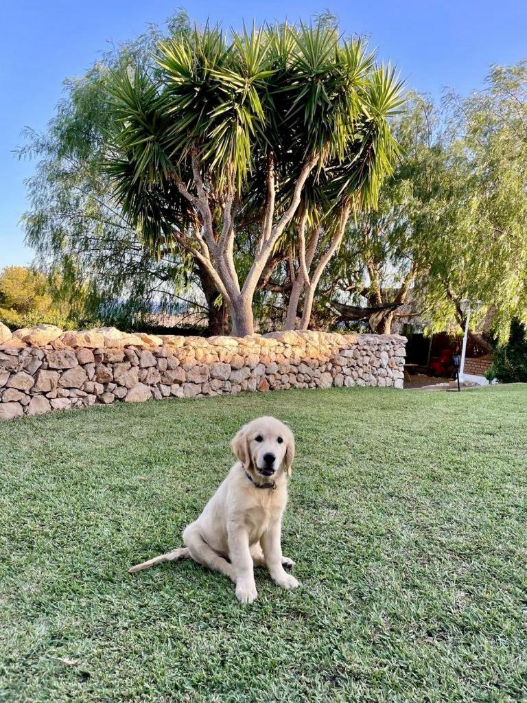 Tu Pequeno Paraiso Villa Calafell Luaran gambar