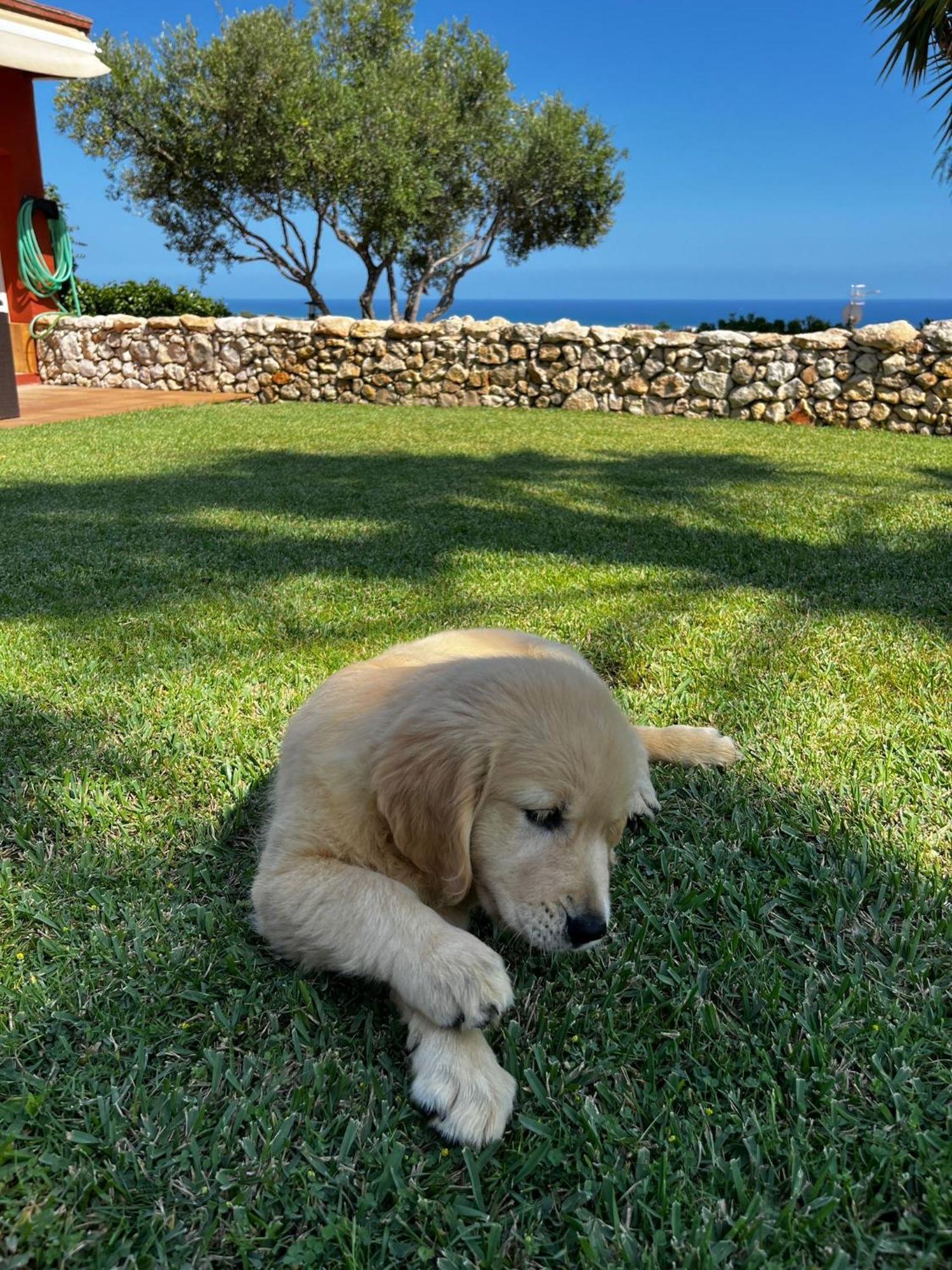 Tu Pequeno Paraiso Villa Calafell Luaran gambar